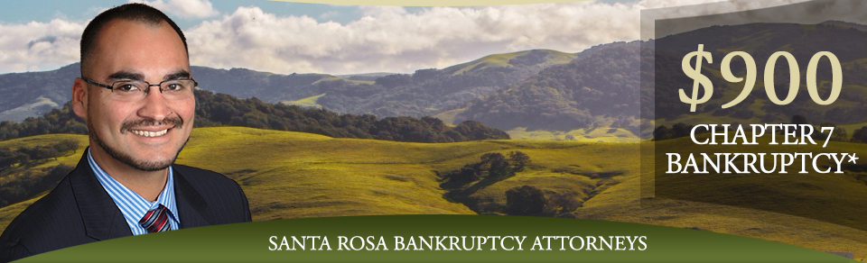 Sonoma Bankruptcy Law